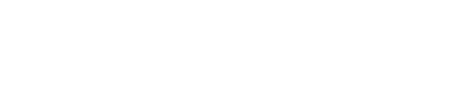 Disability confident leader
